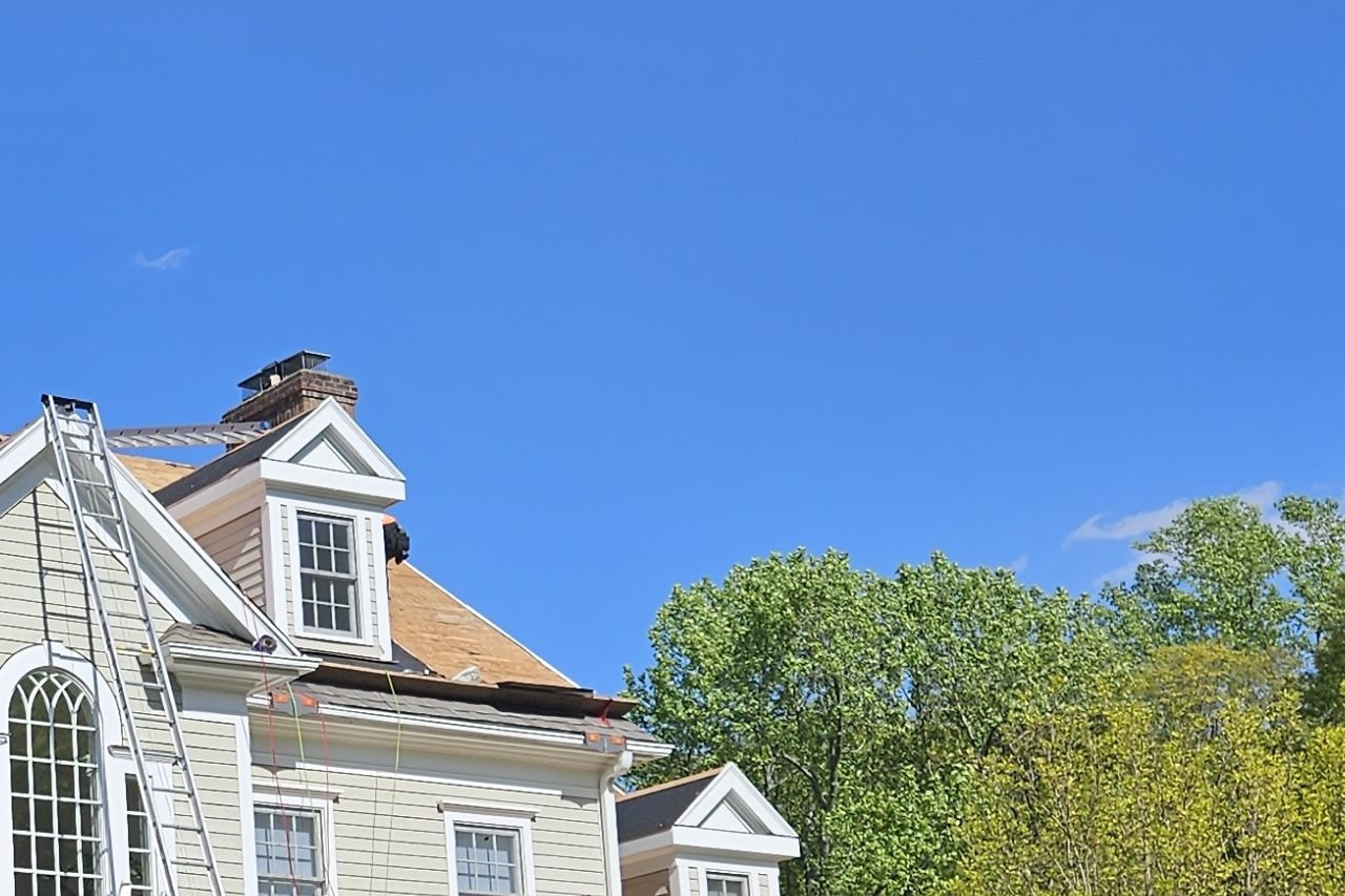 Exploring Eco-Friendly Roofing Options