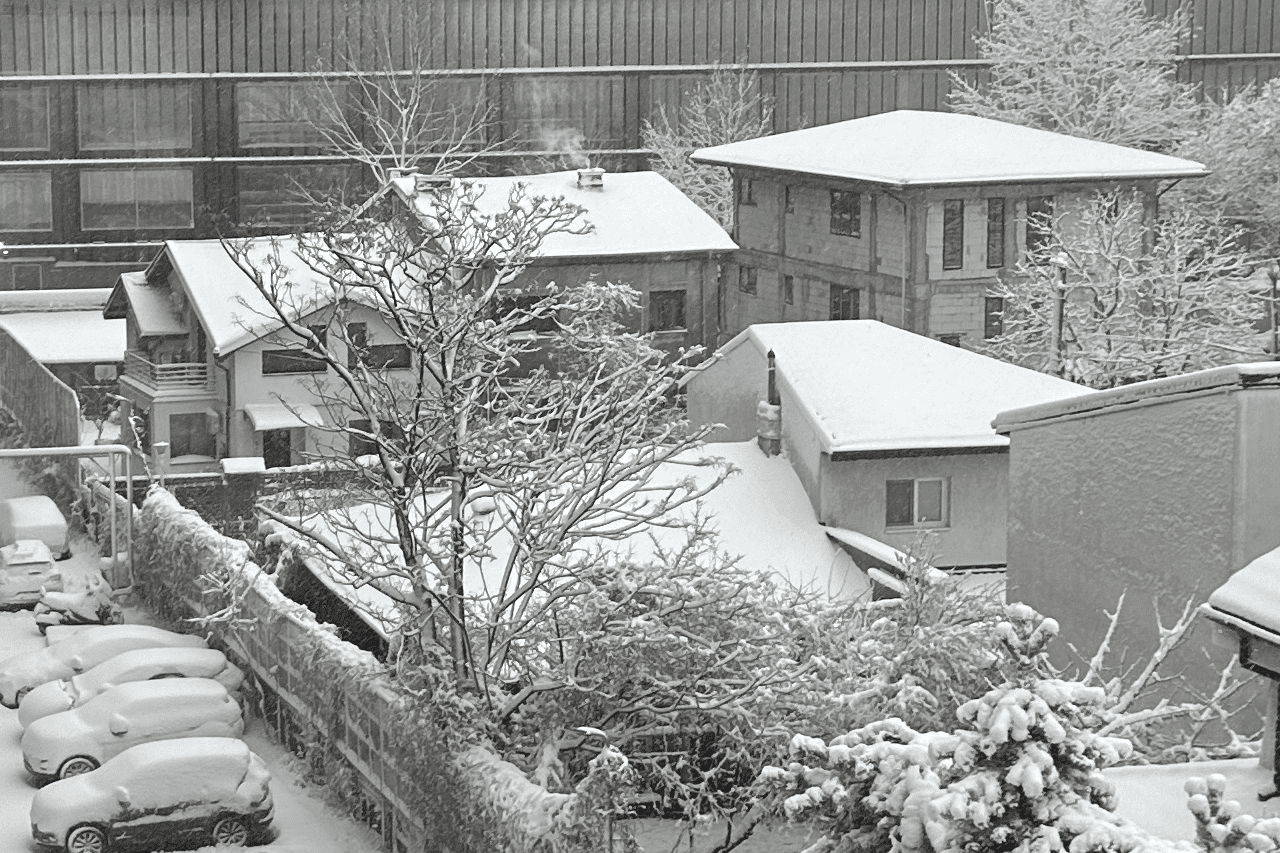How to Safely Remove Snow from Your Roof